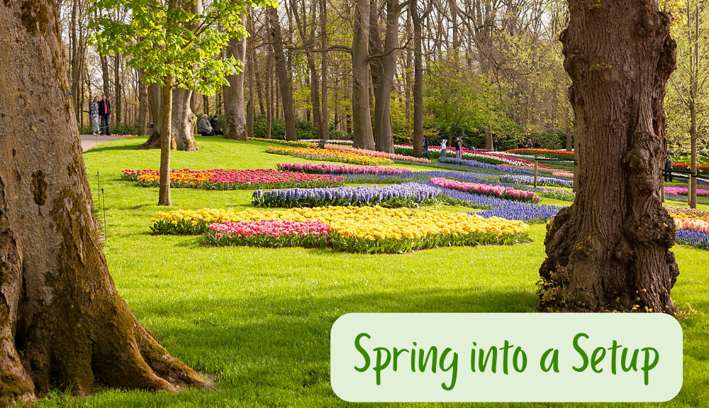 spring discount exclusive coretime discount