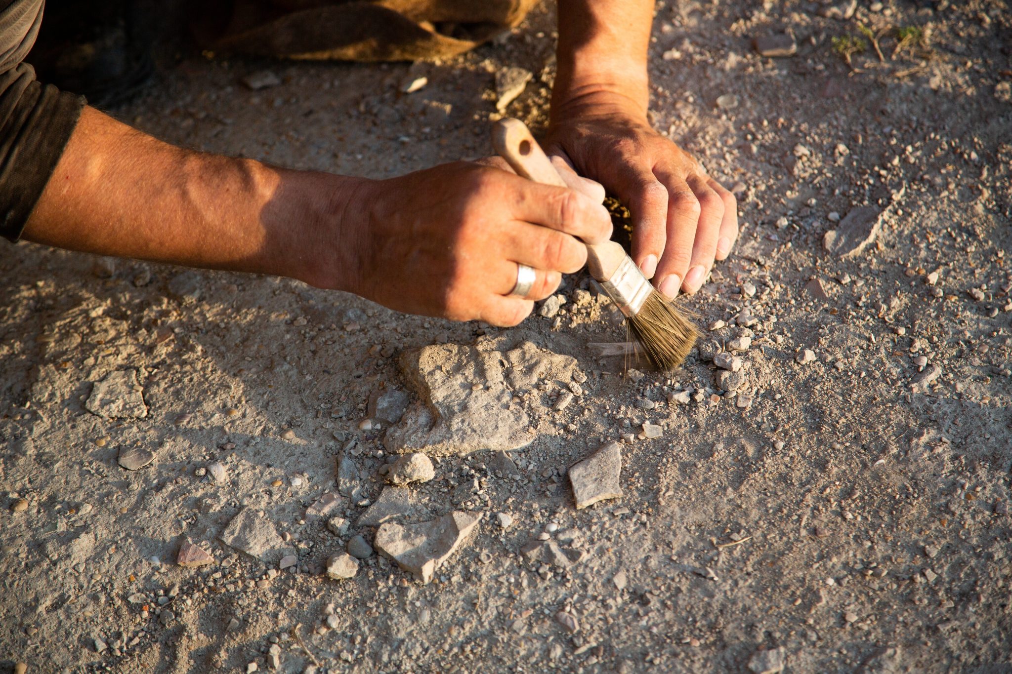 Project Profitability Software For Archaeological Services